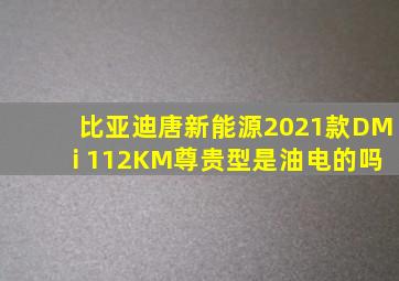 比亚迪唐新能源2021款DMi 112KM尊贵型是油电的吗